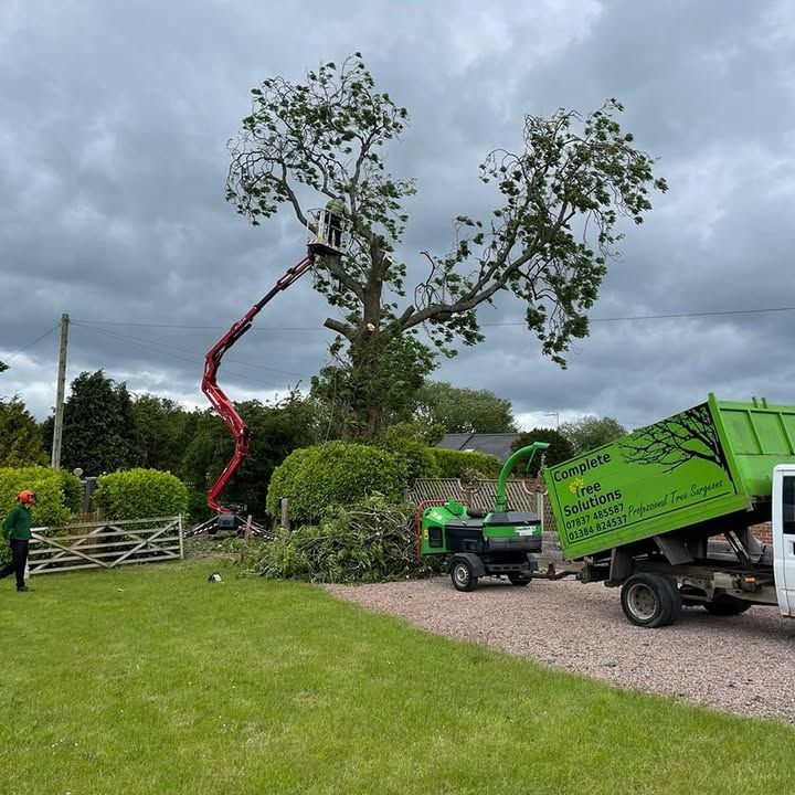 An aerial platform up a large tree with the Complete Tree Solutions tipper and chipper on the drive