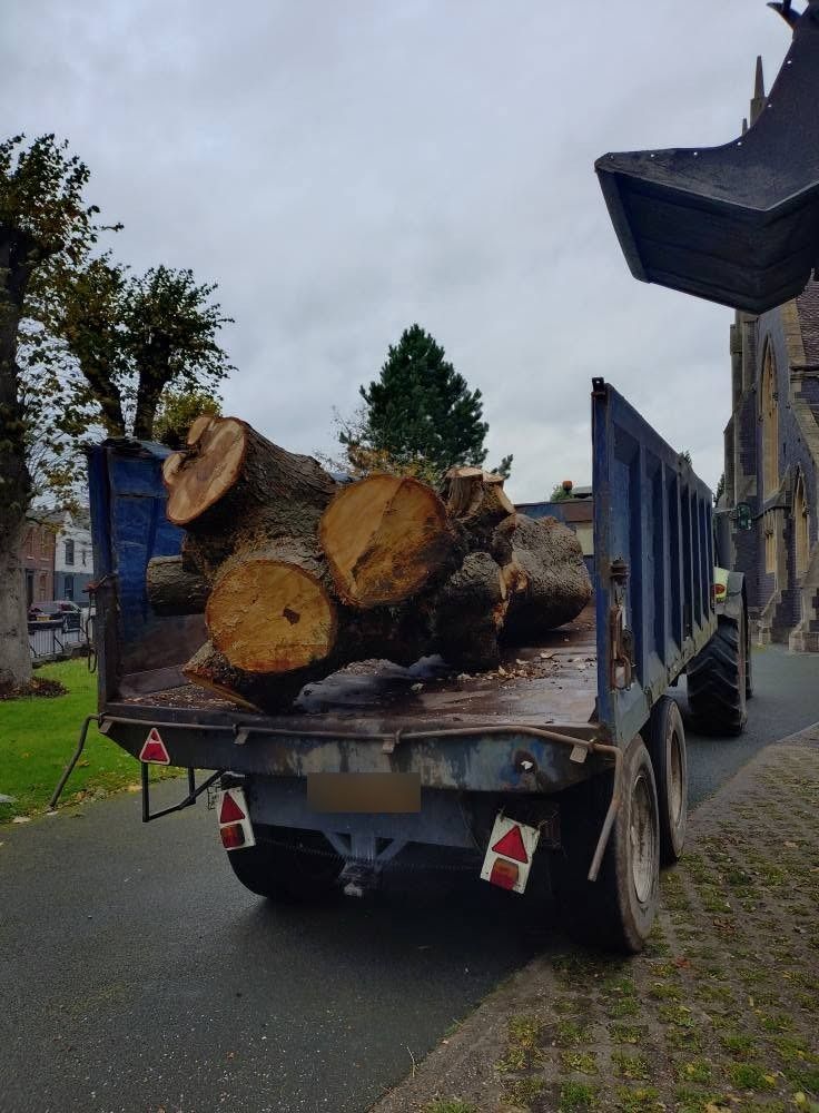 A trailer loaded with large trunk rounds after a job