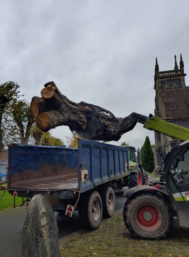 A telehandler lifting a big trunk section into a tipper trailer by a church