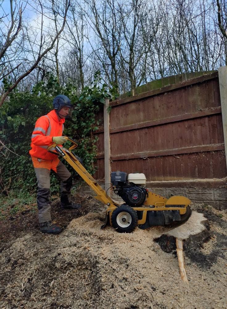 A team member in orange hi-vis with a stump grinder by a fence