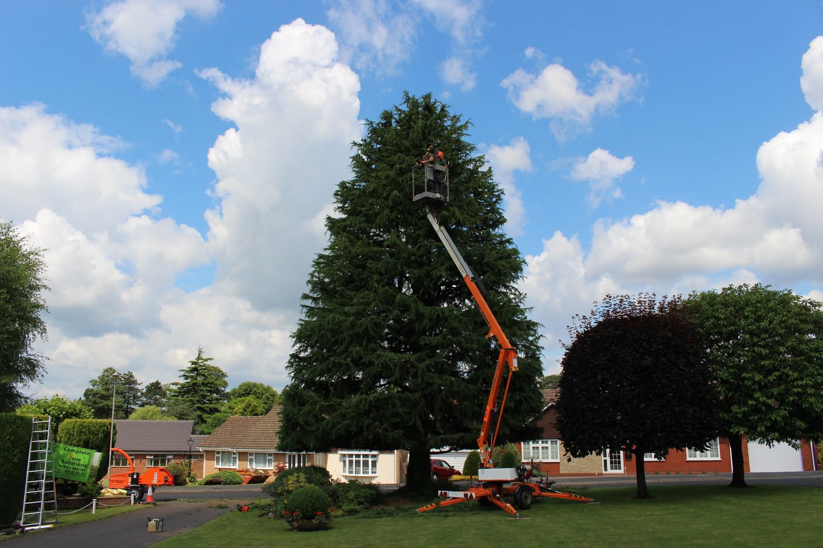 An orange aerial platform raised beside a tall conifer on a front lawn